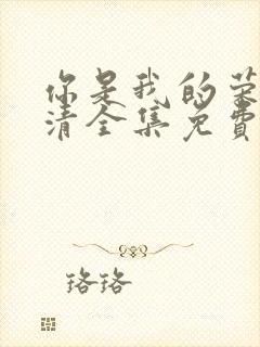 你是我的荣耀高清全集免费观看