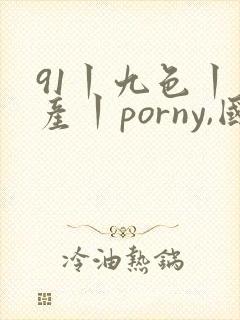 91丨九色丨国产丨porny,国产麻豆