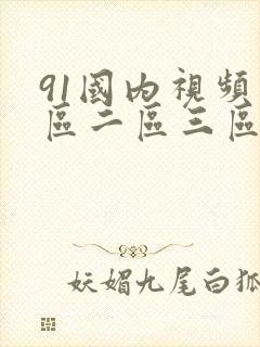 91国内视频一区二区三区