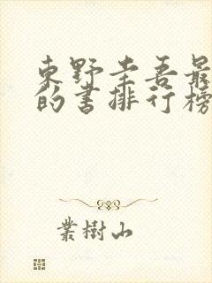 东野圭吾最好看的书排行榜