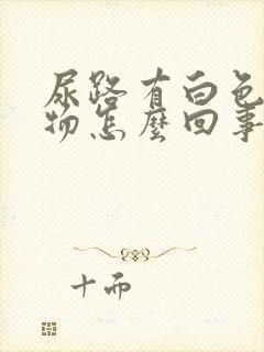 尿路有白色分泌物怎么回事