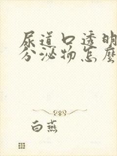 尿道口透明粘性分泌物怎么回事