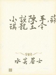 小说陈平,苏雨琪龙王令封面