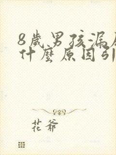 8岁男孩漏尿是什么原因引起的