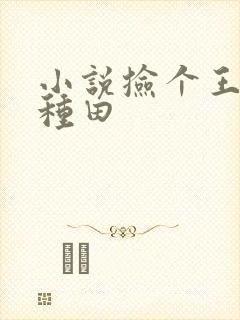 小说捡个王爷来种田