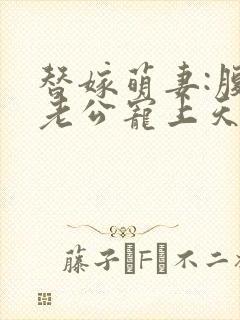 替嫁萌妻:腹黑老公宠上天封面