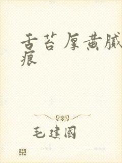 舌苔厚黄腻有齿痕