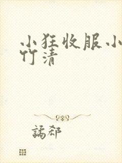 小狂收服小舞朱竹清封面