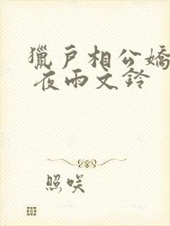 猎户相公娇宠妻 夜雨文铃