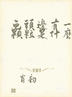 龟头边有一圈小颗粒是什么