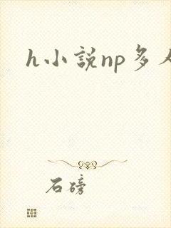 h小说np多人