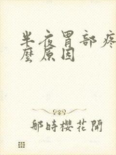 半夜胃部疼痛什么原因