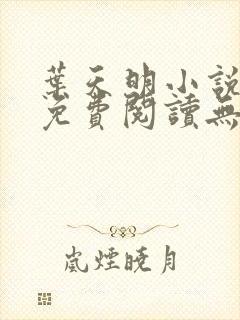 叶天明小说全文免费阅读无弹窗最新章节