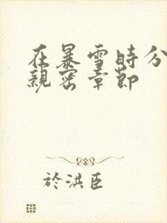 在暴雪时分小说亲密章节