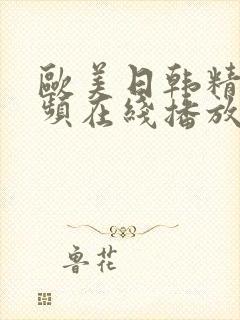 欧美日韩精品视频在线播放