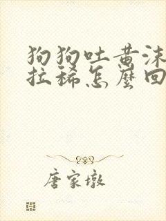 狗狗吐黄沫子还拉稀怎么回事封面