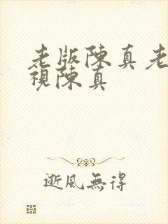 老版陈真老版电视陈真封面