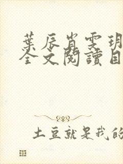 叶辰肖雯玥免费全文阅读目录