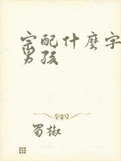 宗配什么字好听男孩