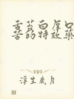 舌苔白厚口干口苦的特效药