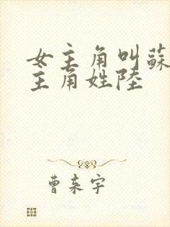 女主角叫苏念男主角姓陆