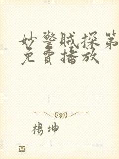 妙警贼探第二季免费播放