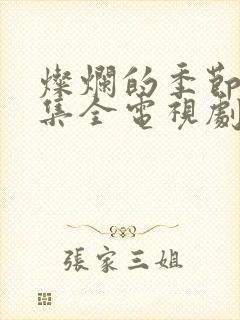 灿烂的季节40集全电视剧免费封面