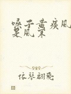 嗓子黄痰风热还是风寒