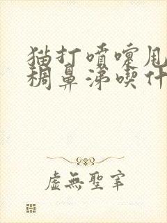 猫打喷嚏甩出浓稠鼻涕吃什么药