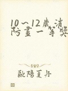 10～12岁消防画一等奖