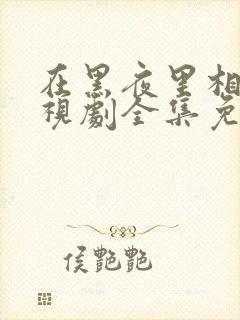 在黑夜里相拥电视剧全集免费观看