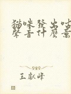 猫咪发出咕噜的声音什么意思封面