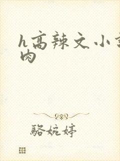 h高辣文小说肉肉