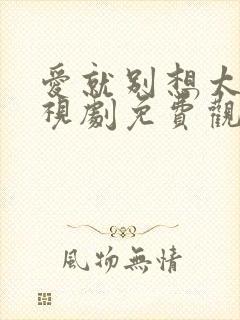 爱就别想太多电视剧免费观看全集