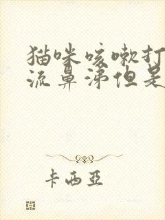 猫咪咳嗽打喷嚏流鼻涕但是精神很好封面