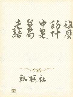 老舅中的姐姐的结局是什么