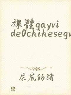 裸体gayvide0chihesegv