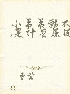 小弟弟勃不起来,是什么原因