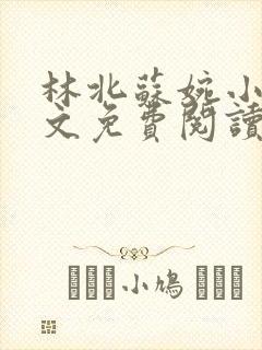 林北苏婉小说全文免费阅读无弹窗