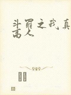 斗罗之我真不是高人