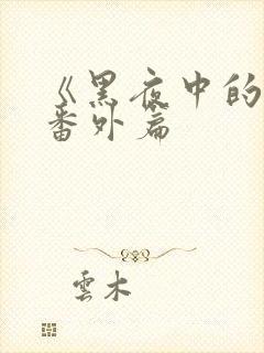 《黑夜中的她》番外篇