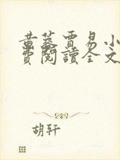 黄蓉贾易小说免费阅读全文