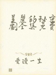 美丽的秘密电视剧全集免费