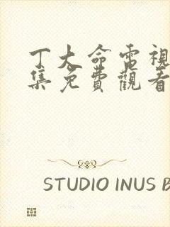 丁大命电视剧全集免费观看西瓜