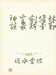 神霄剑修林枫小说最新章节