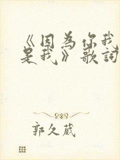 《因为你我不再是我》歌词完整版