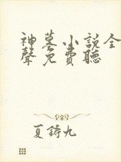 神墓小说全集有声免费听