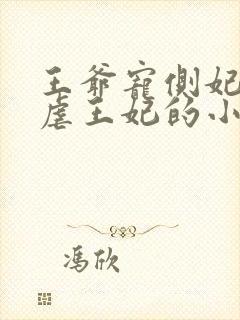 王爷宠侧妃王妃虐王妃的小说