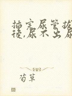 插完尿管拔了,后,尿不出尿咋办