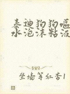 泰迪狗狗呕吐黄水泡沫粘液怎么办